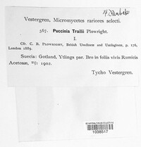 Image Associated With the Occurence